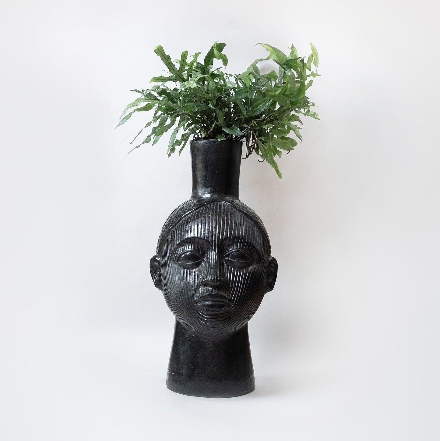 Cabeza Florero